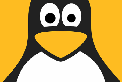 Linux je najúspešnejší príklad slobodného softvéru a vývojového modelu open source