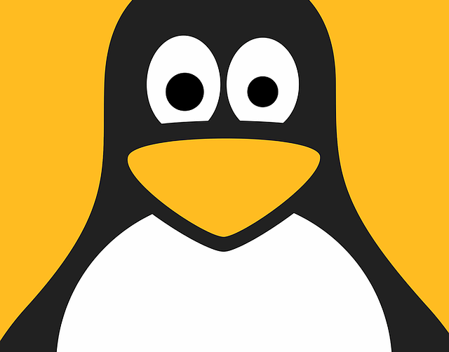 Linux je najúspešnejší príklad slobodného softvéru a vývojového modelu open source